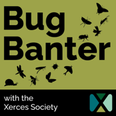 Bug Banter with the Xerces Society