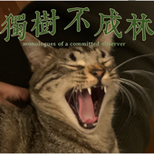 独树不成林