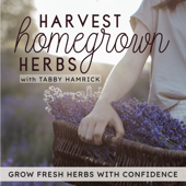 Harvest Homegrown Herbs | Herb Garden, Seed Starting, Garden Planning, Herbal Tea, Container Gardening