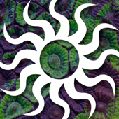 The Tidal Gardens Podcast