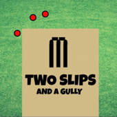 Two Slips and a Gully