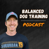 Balanced Dog Training With Suburban K9