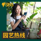 园艺热线