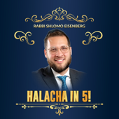 Rabbi Eisenberg !B'nai Israel of Norfolk VA-Torah!