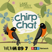 Chirp Chat