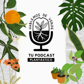 Hablemos de verde