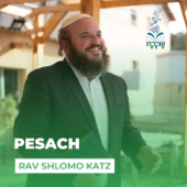 Pesach with Rav Shlomo Katz