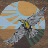 Common Ground: A Prairie Podcast