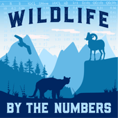 Wildlife By The Numbers
