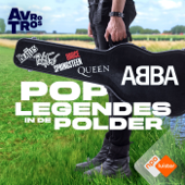 ABBA in Nederland - Poplegendes in de Polder