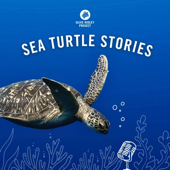 Sea Turtle Stories