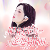 限时宠爱：老婆，别闹了|傲娇|甜宠