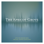 The Apricot Grove