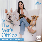 In The Vet's Office with Dr. Josie Horchak