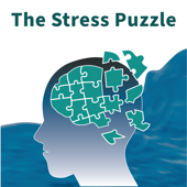 The Stress Puzzle