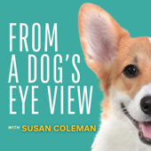 From A Dog's Eye View