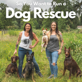 So You Want to Run a Dog Rescue