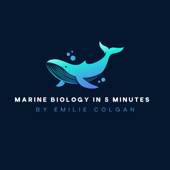 Marine Biology in 5 Minutes