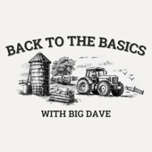 Back To The Basics