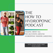 How to Hydroponic