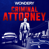 Criminal Attorney