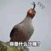 【内涵段子】名人脱口秀现场录制