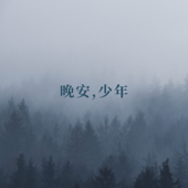 晚安，少年（入眠伴侣）
