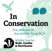 In Conservation...