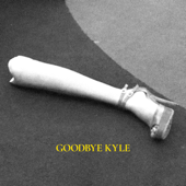 Goodbye Kyle: A Real Housewives Podcast