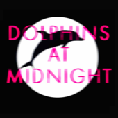 Dolphins at Midnight