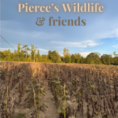 The Pierce Wildlife’s Podcast