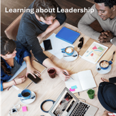 Learning about Leadership