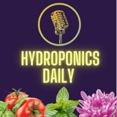 Hydroponics Daily
