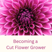 Becoming a Cut Flower Grower