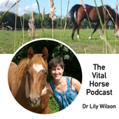 The Vital Horse Podcast