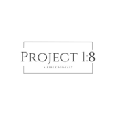 Project 1:8
