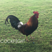 Cockfight