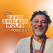 The David Avocado Wolfe Podcast