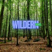 Wildernext