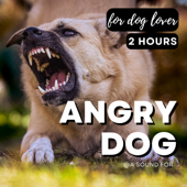 Dogs! (barking, howling, whining, growling, ecc...)