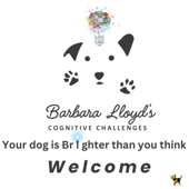 Your Dog Is Brighter Than You Think