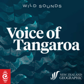 Wild Sounds: Voice of Tangaroa