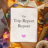 The Trip Report Report