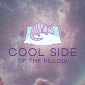 Cool Side of the Pillow