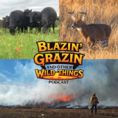 Blazin' Grazin' And Other Wild Things