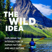 The Wild Idea