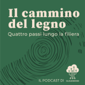 Il cammino del legno