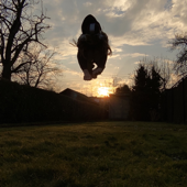 𝐁𝟑𝟒𝐧’𝐬 𝐭𝐞𝐫𝐫𝐢𝐭𝐨𝐫𝐢𝐮𝐦 (therian tips and talks)