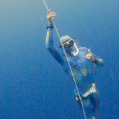 The Marine Ecology Podcast