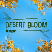 Desert Bloom